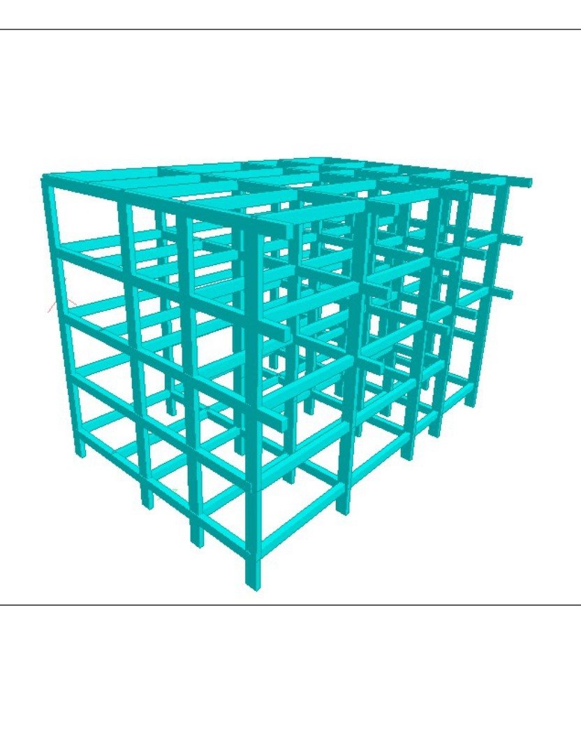 WhatsApp Image 2026-03-21 at 13.12.47